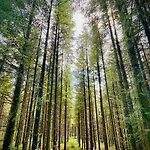 Cobblers Walk - Luxury Country Getaway *