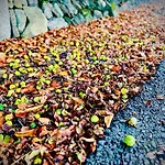 Cobblers Walk - Luxury Country Getaway Дом отдыха Askamore