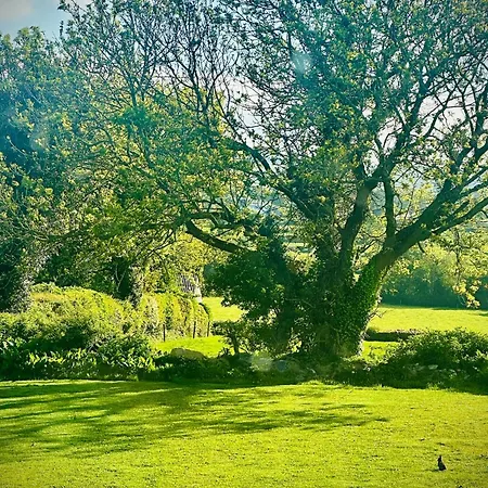 Cobblers Walk - Luxury Country Getaway